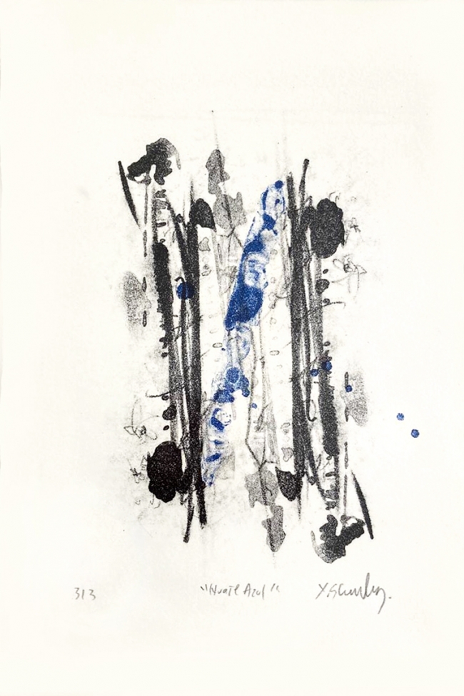 Huaje azul 3/3 - Xavier Scherenberg