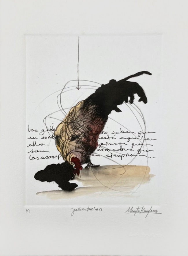Gallinutre 17/50