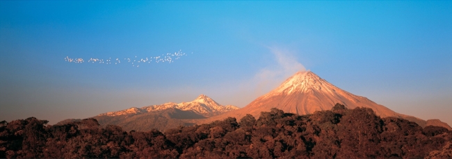 Volcanes con garzas