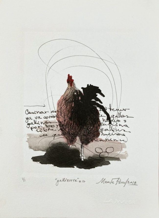 Gallicorre 17/50