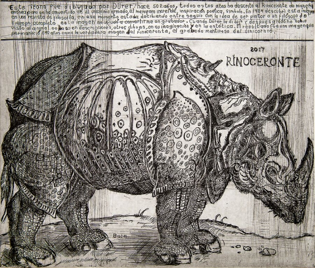 Rinoceronte a partir de Durer
