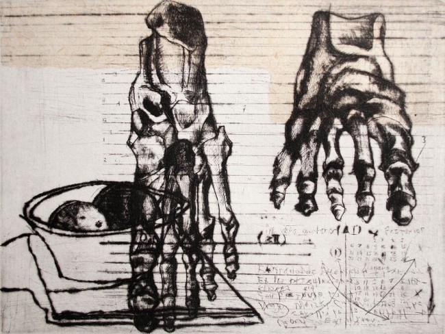 Diego Rodarte - Momentos