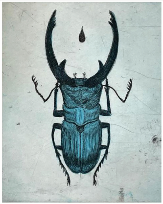 Escarabajo