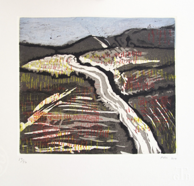 PHILIP NEVIN - S T 14/50  Incluye catalogo de artista - Varios Artistas En La Gráfica