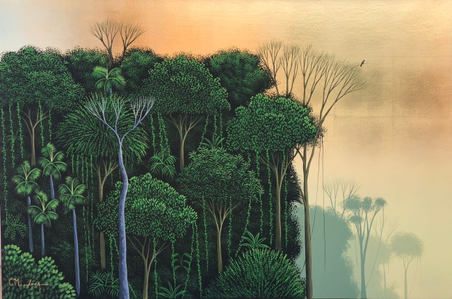 Reunión de selva y niebla