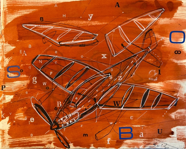 Avión red