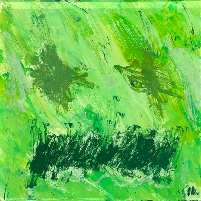 Cara 172
