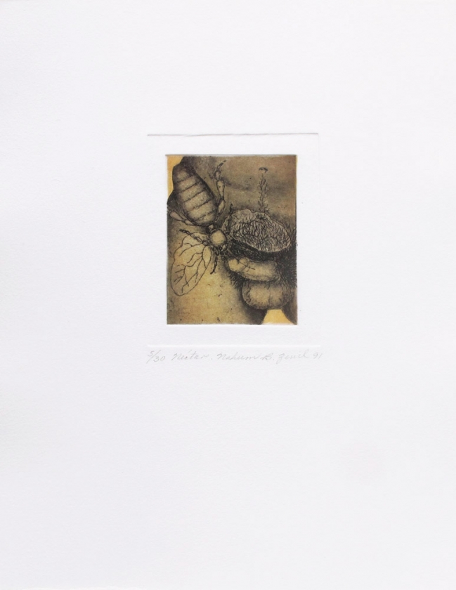 Nectar - Nahum B. Zenil