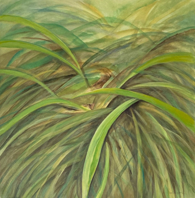 Grass