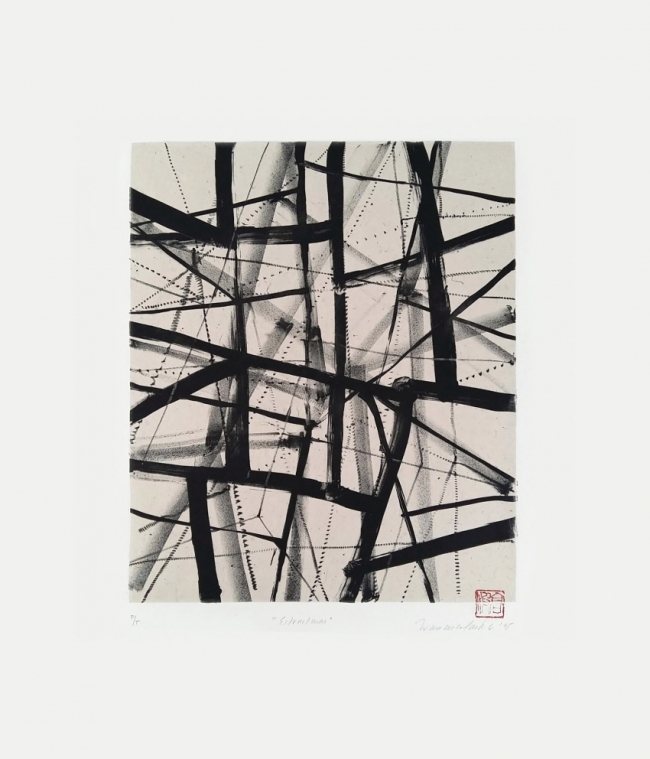Estructuras 37/50 - Francisco Castro Leñero