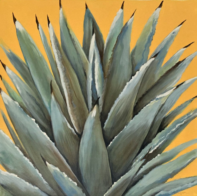 Maguey