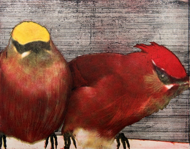 Pedro Escapa- Cardenales