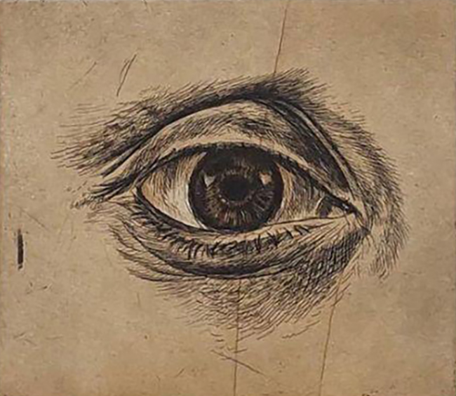 st ojo