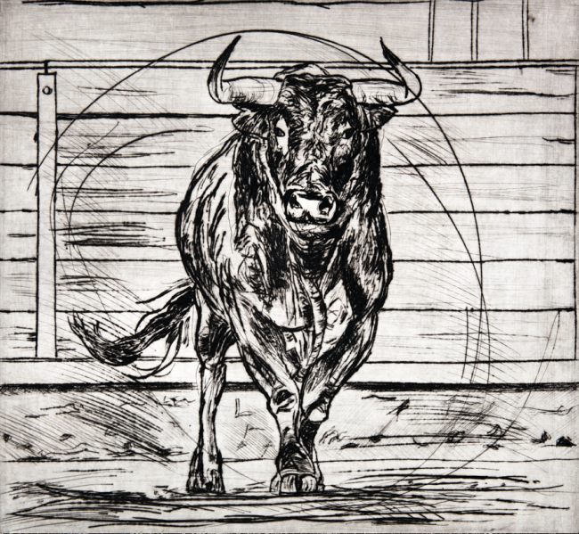 Toro