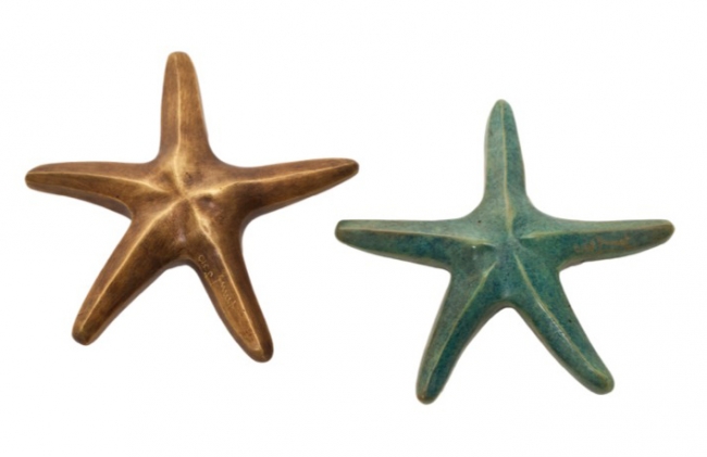 Estrella chica - Jennifer Troice