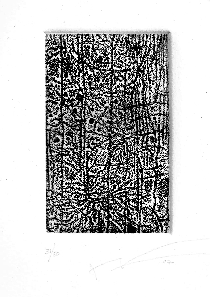 Fernando González Gortázar 31/50 - Fernando González Gortazar