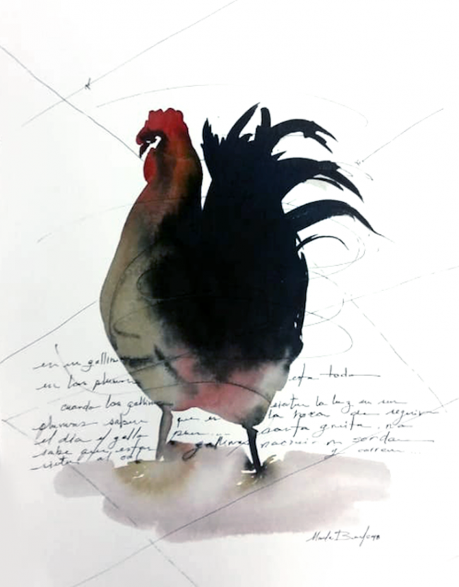 Gallo 3 - Marcela Bernal