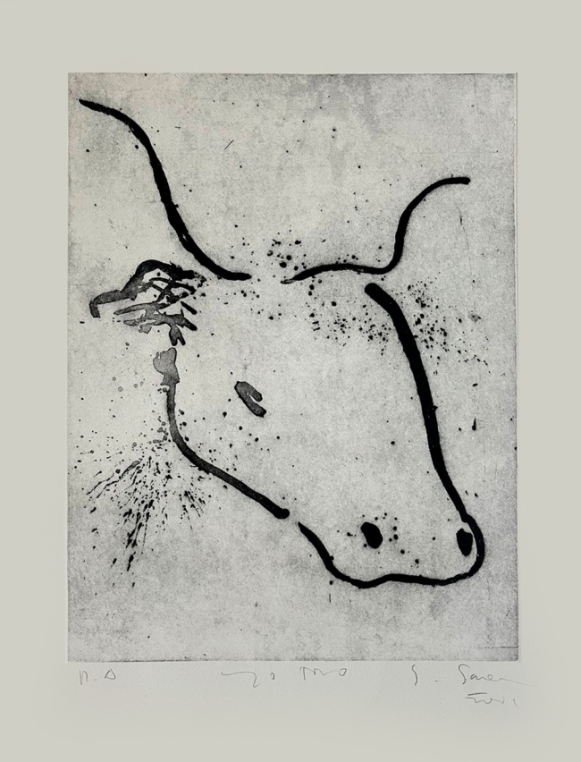 Toro