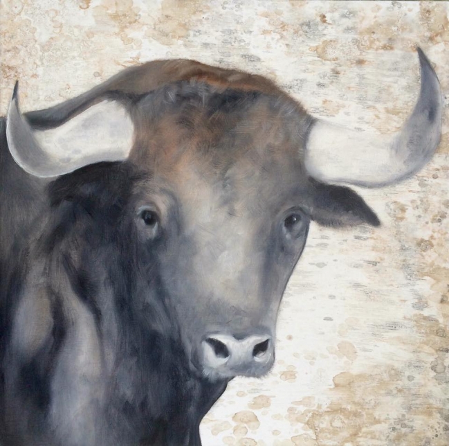 Cabeza toro