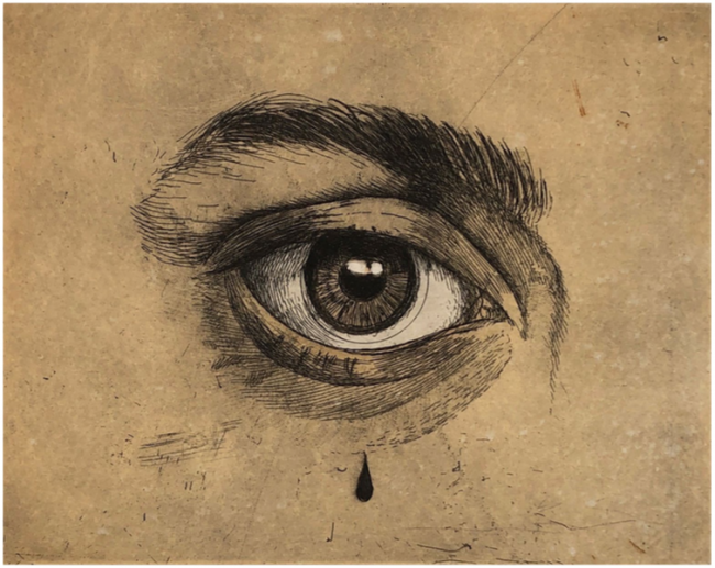 Ojo 3