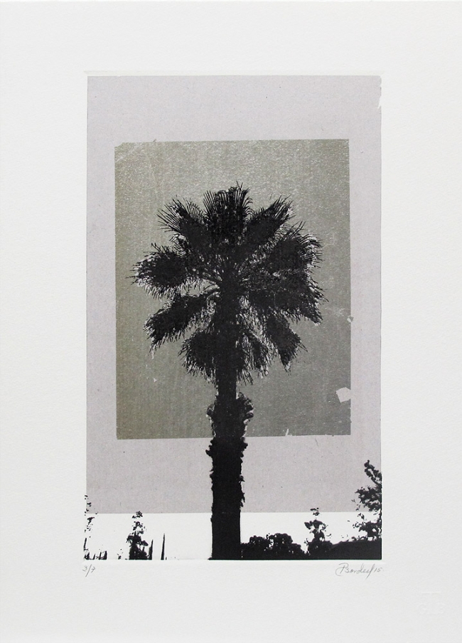 Palmera PA