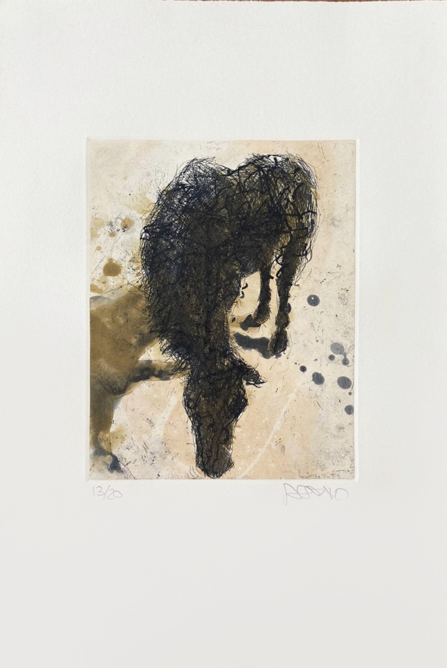 ST (Caballo viejo) 13/20