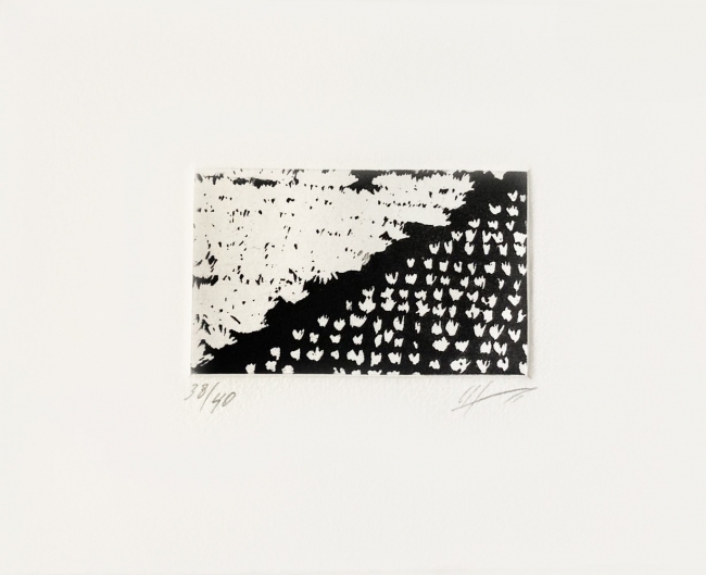 ST Agaves 38/40 - Jan Hendrix