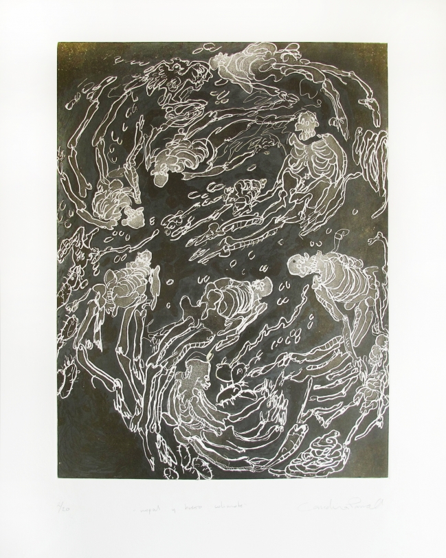 CAROLINA PARRA . Nopal y hueso colimote 2/20