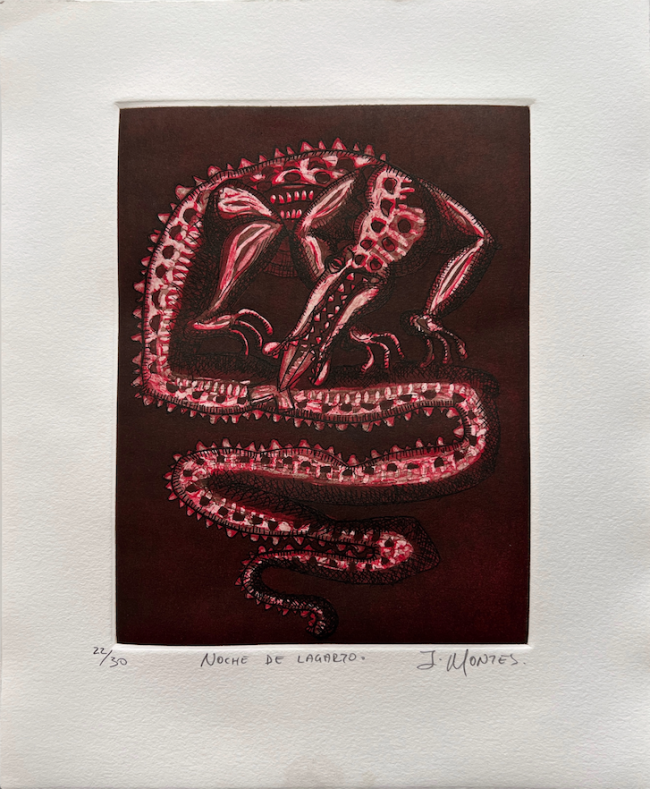 Noche de lagarto