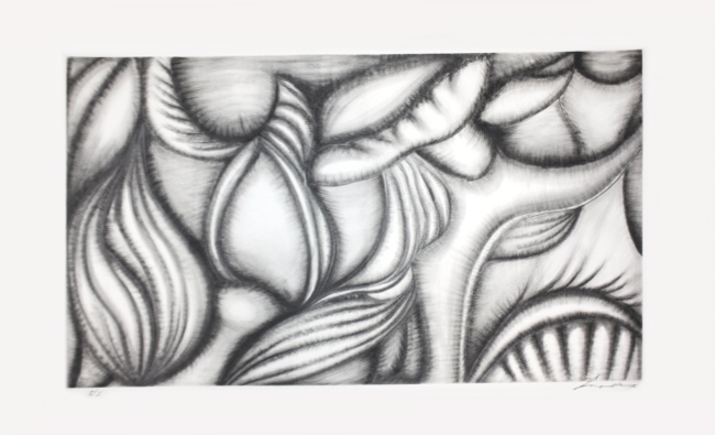 ST Dibujo - José Luis Cuevas