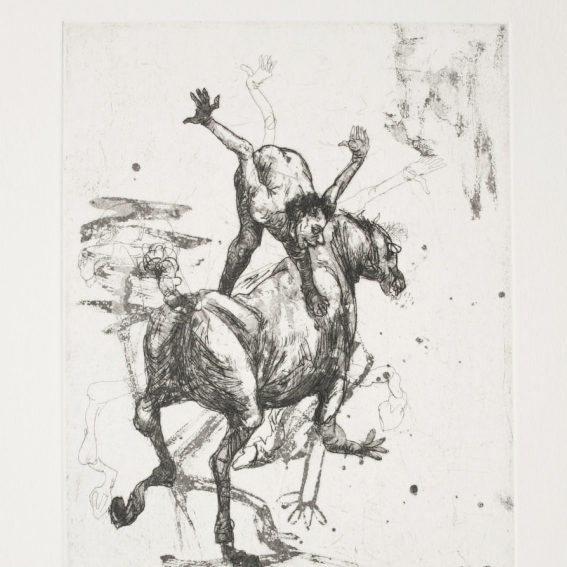 Homo Equus II