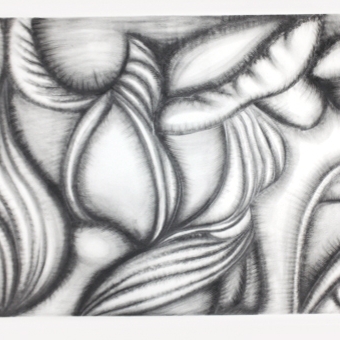 ST Dibujo