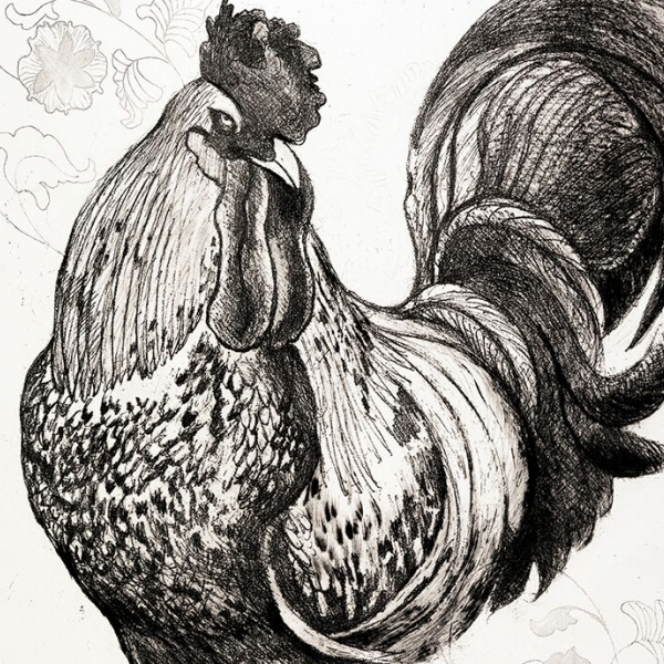 Gallo