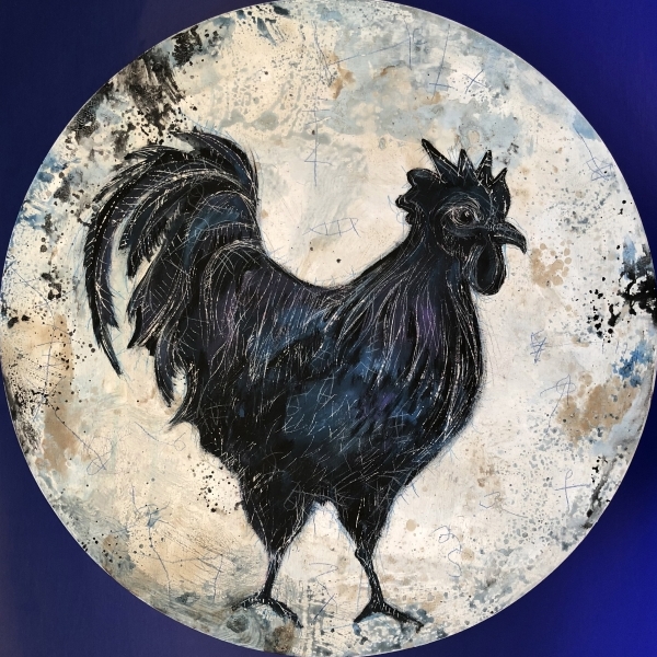 Gallo negro