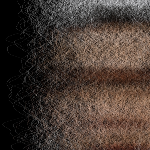 Rostro 3
