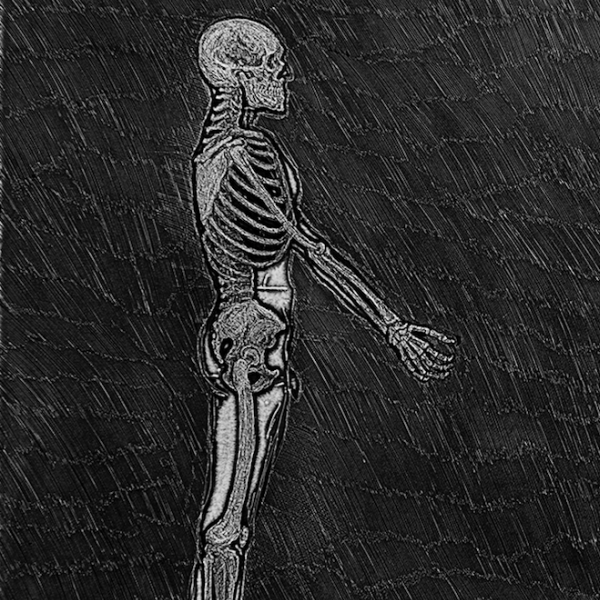 Homo sapiens
