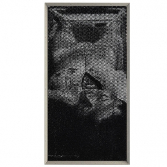 Gráfica mini S/T 30/100