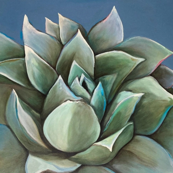 Succulent