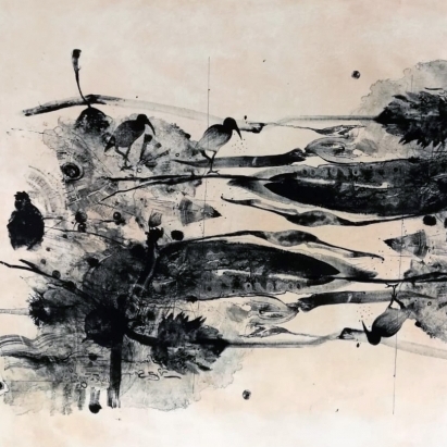 Aves 1
