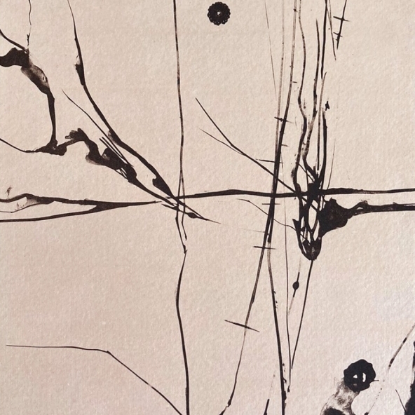 Li I/I rosa