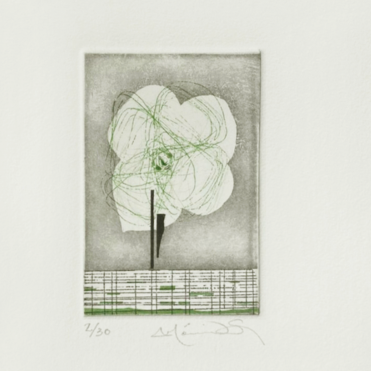 Flor nube 1/30