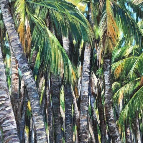 Troncos de palmeras