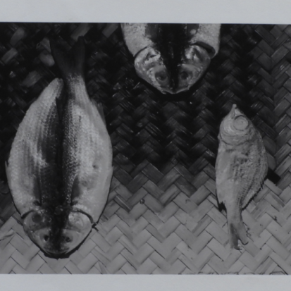 Pescados 3