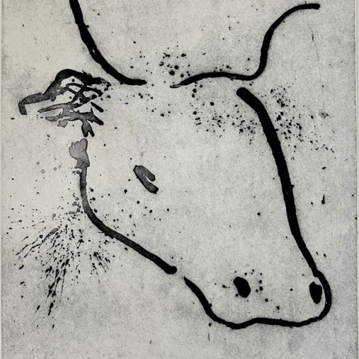 Toro