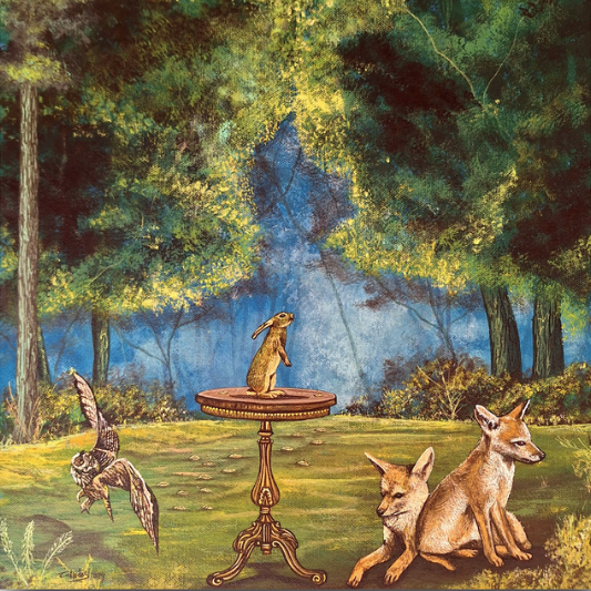 Cuentos del bosque