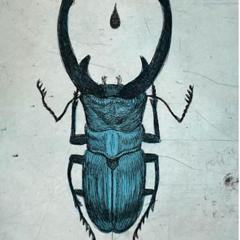 Escarabajo