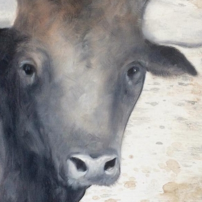 Cabeza toro