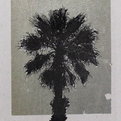 Palmera PA